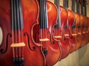 Violins in Row